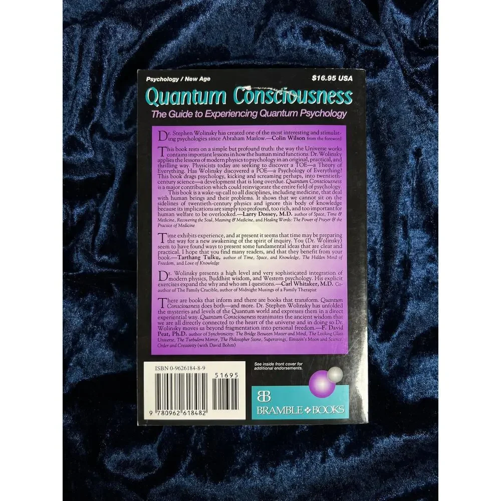 Vintage 1993 Quantum Consciousness Book – Stephen Wolinsky Quantum Psychology